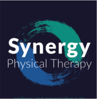 Synergy logo2.png