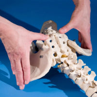 pelvic-girdle-fig-3